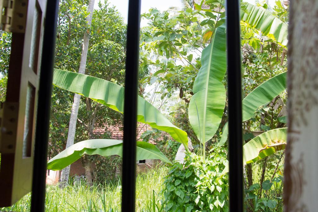 Garden Inn Mirissa Exterior foto